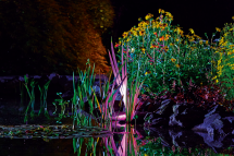 Oase ProfiLux Garden LED RGB  
