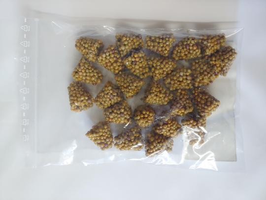 Nährstoffe für Seerosen Osmocote® Seerosen-Dünger Lotos 20 Stück Düngekegel 